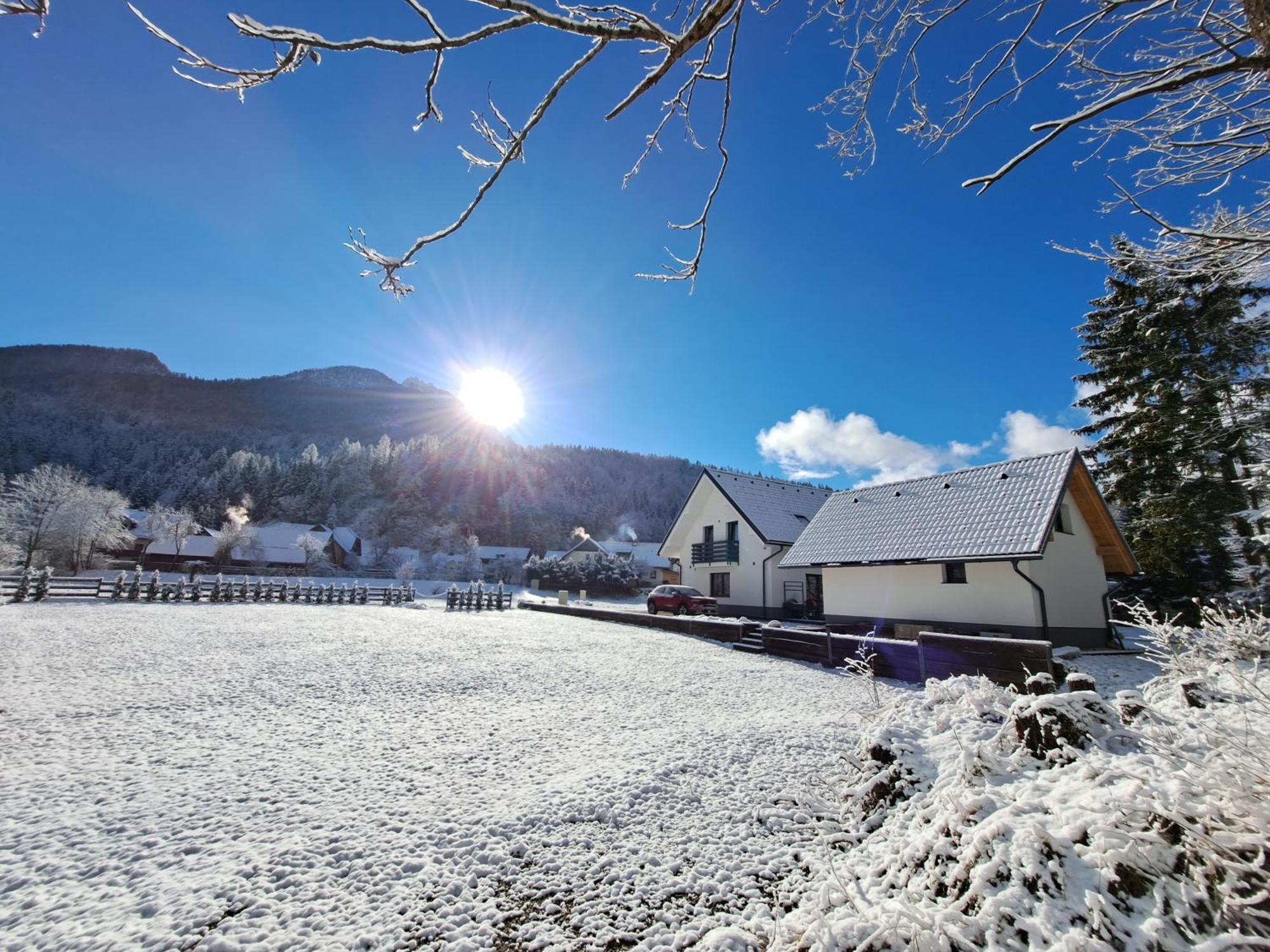 Riverside Apartma 1, Kranjska Gora Daire Dış mekan fotoğraf